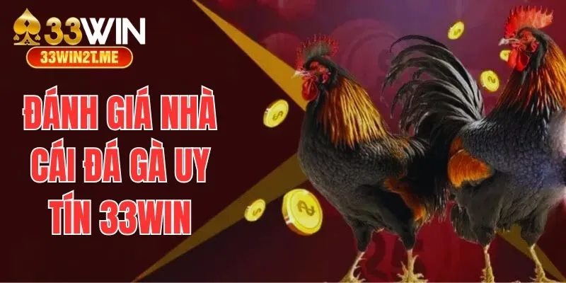 Đánh giá khách quan về nhà cái đá gà uy tín 33win 